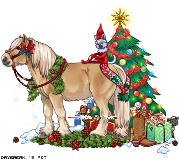 Dressed pet