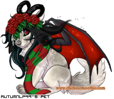 Dressed pet