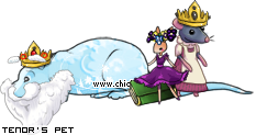 Dressed pet