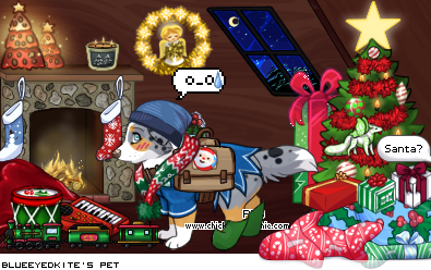 Dressed pet