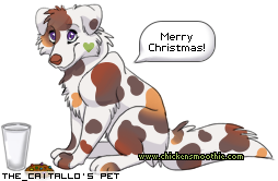 Dressed pet