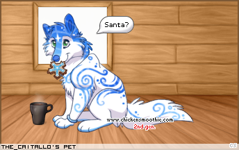 Dressed pet