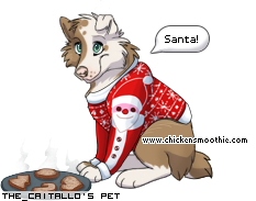 Dressed pet