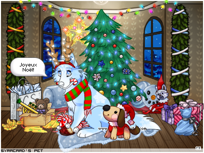 Dressed pet