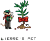 Dressed pet