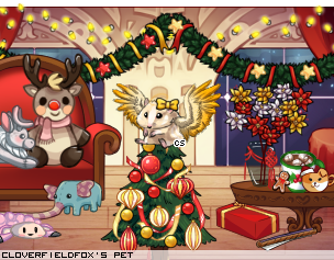 Dressed pet