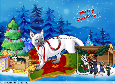 Dressed pet