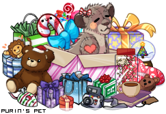 Dressed pet