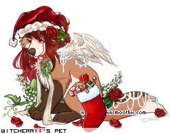 Dressed pet