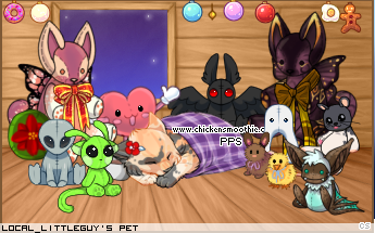 Dressed pet