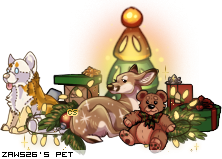 Dressed pet