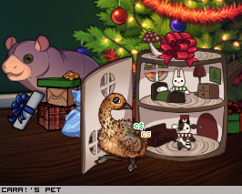 Dressed pet