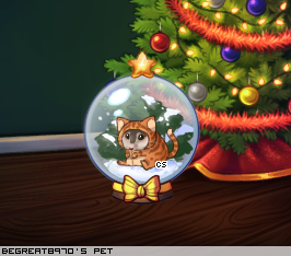 Dressed pet