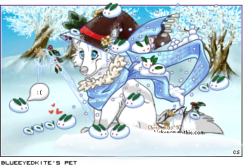 Dressed pet
