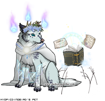 Dressed pet