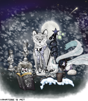 Dressed pet