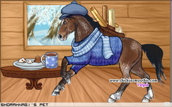 Dressed pet