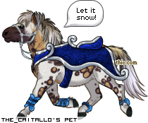 Dressed pet