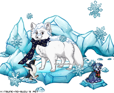 Dressed pet