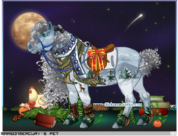 Dressed pet