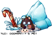Dressed pet
