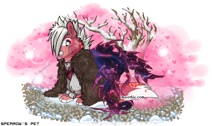 Dressed pet