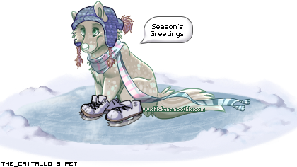 Dressed pet