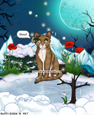 Dressed pet