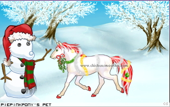 Dressed pet