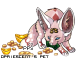 Dressed pet