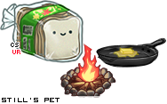 Dressed pet