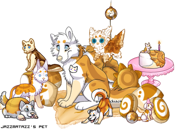 Dressed pet