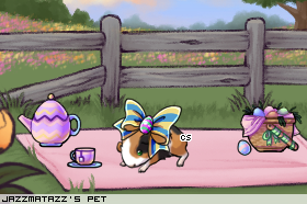 Dressed pet