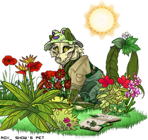 Dressed pet