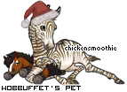 Dressed pet