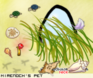 Dressed pet