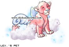 Dressed pet