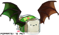 Dressed pet