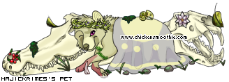 Dressed pet