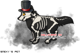 Dressed pet