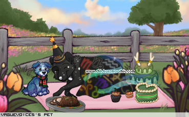 Dressed pet