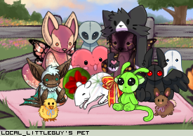 Dressed pet