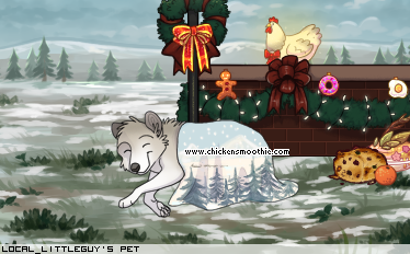 Dressed pet