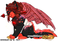 Dressed pet
