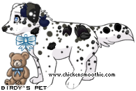 Dressed pet
