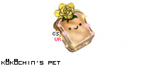 Dressed pet