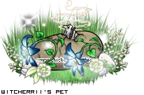 Dressed pet