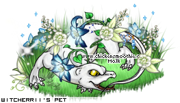 Dressed pet