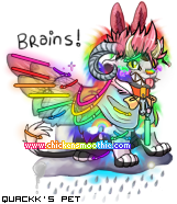 Dressed pet