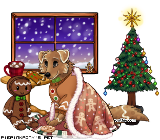 Dressed pet